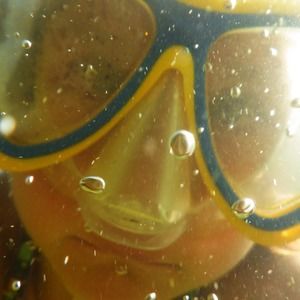 Meet your Posher, Richard